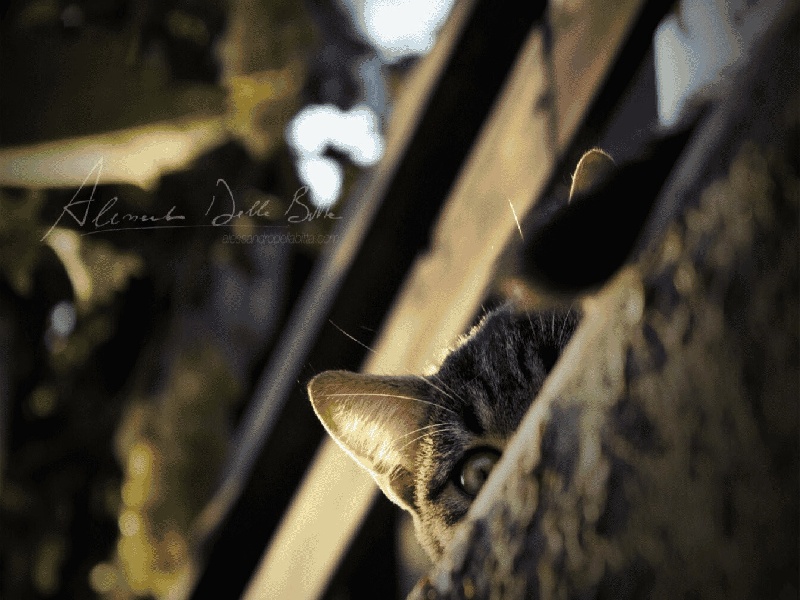 陈女士成功案例